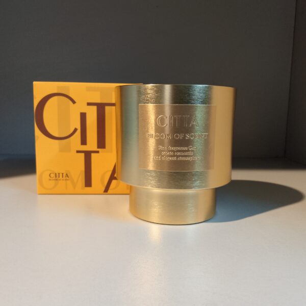 img 20260101 112816 portrait