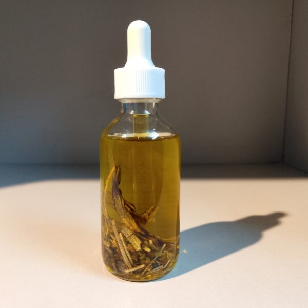 img 20260101 162125 portrait